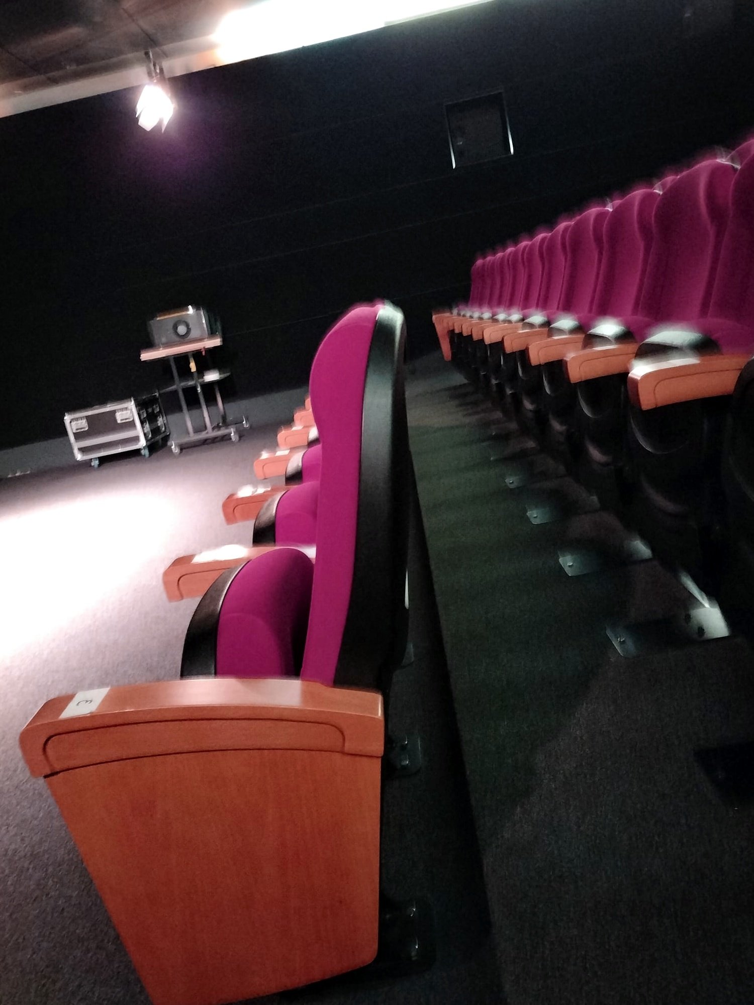 Fauteuil de cinéma détail